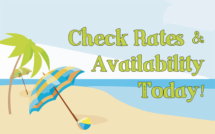 Book and Check Availability Today!